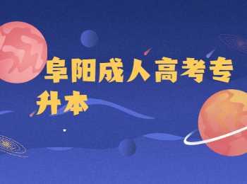 阜陽成考專升本