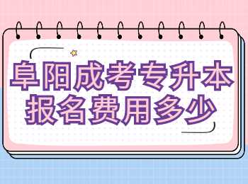 阜陽成考專升本