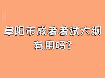 阜陽市成考考試大綱有用嗎