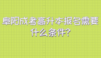 阜陽成考高升本報名需要什么條件